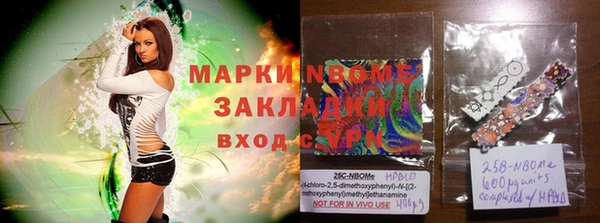 стаф Аркадак