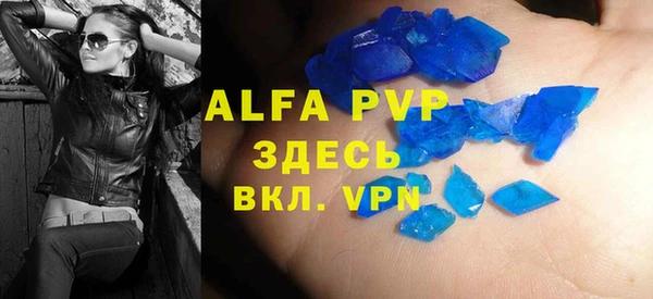 стаф Аркадак